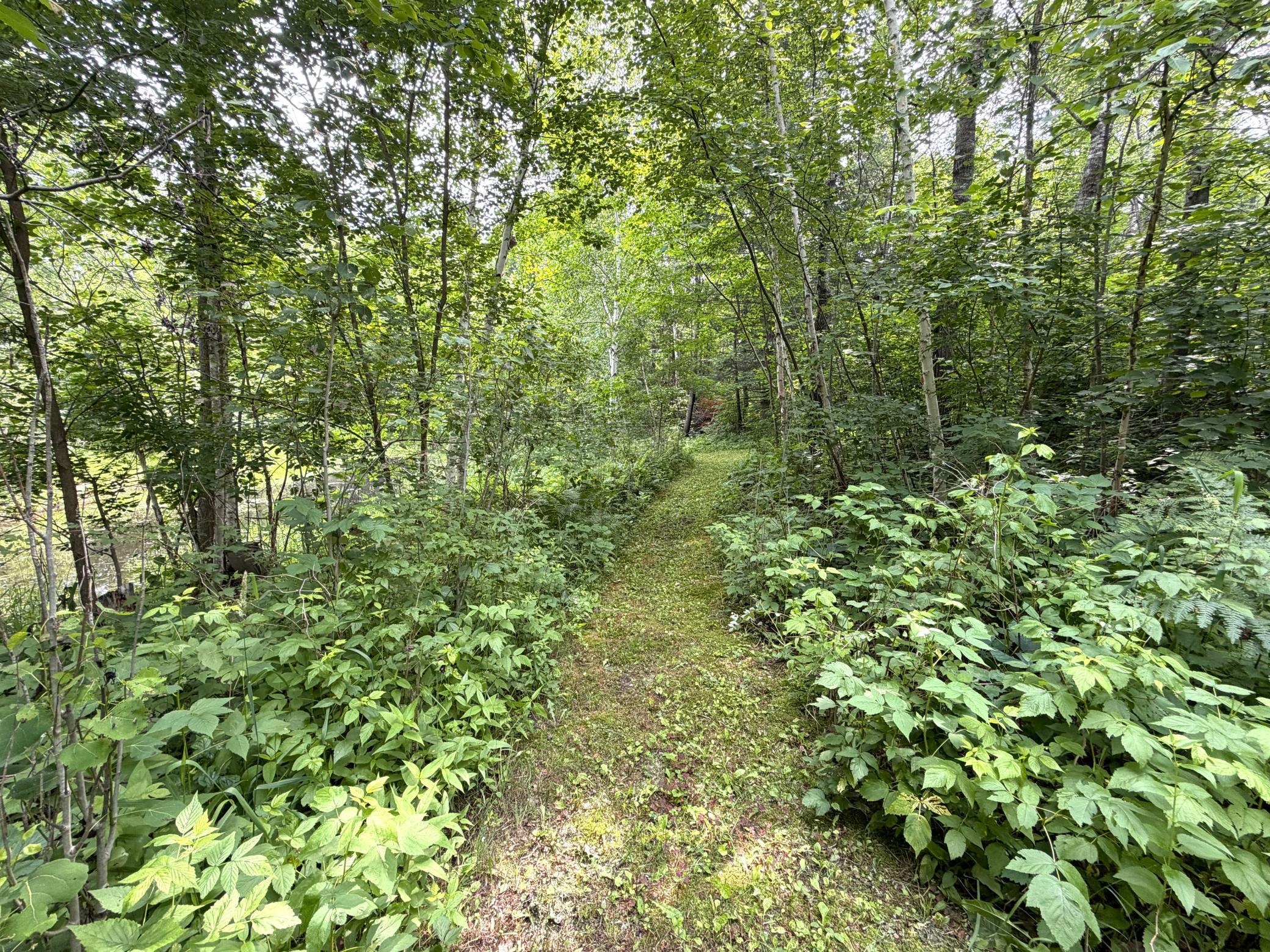 3574 State 87 NW, Backus MN 56435 - Photo 14 of 23