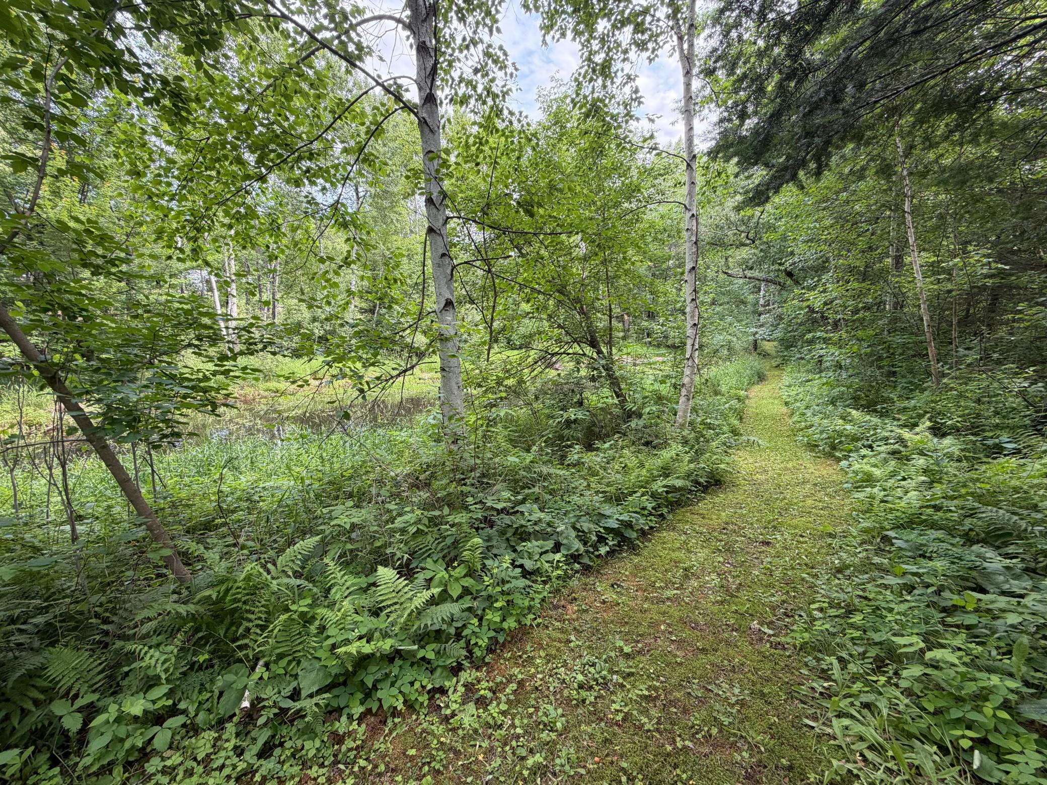 3574 State 87 NW, Backus MN 56435 - Photo 16 of 23