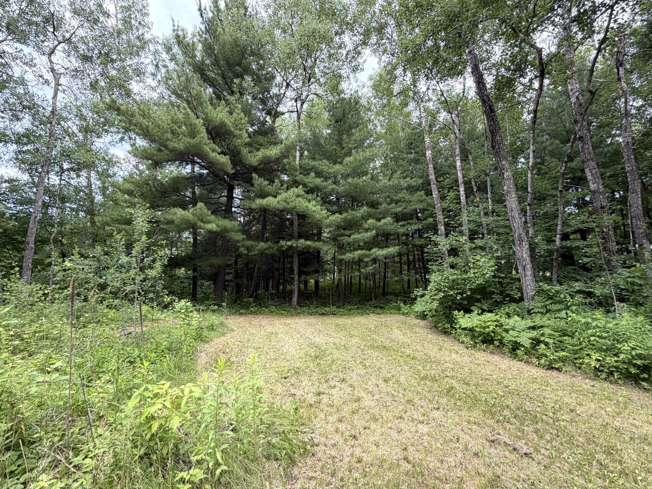 3574 State 87 NW, Backus MN 56435 - Photo 20 of 23
