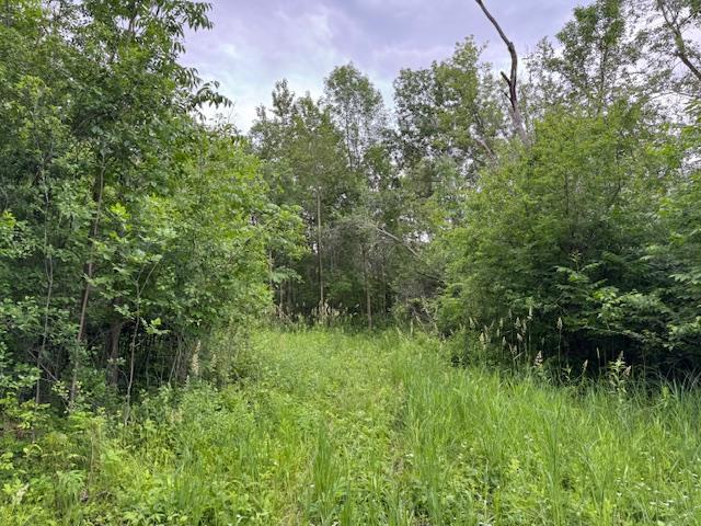 14717 State 210, Hewitt MN 56453 - Photo 83 of 84