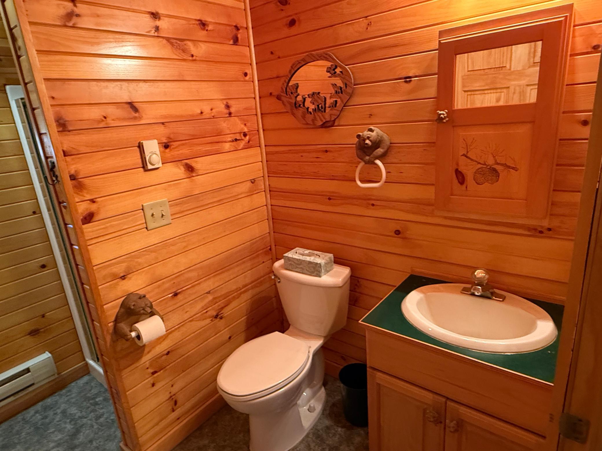 2000 home for sale at 40411 Bucksnort Drive in Emily, MN — 0 bed, 1 bath (photo 12 of 19)