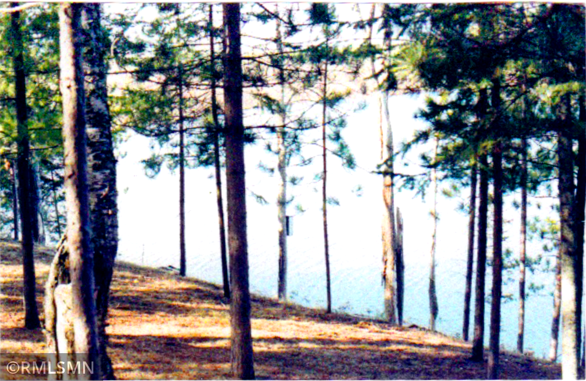 land for sale at 4xxxx Moose Bay Trail in Northome, MN (photo 3 of 4)