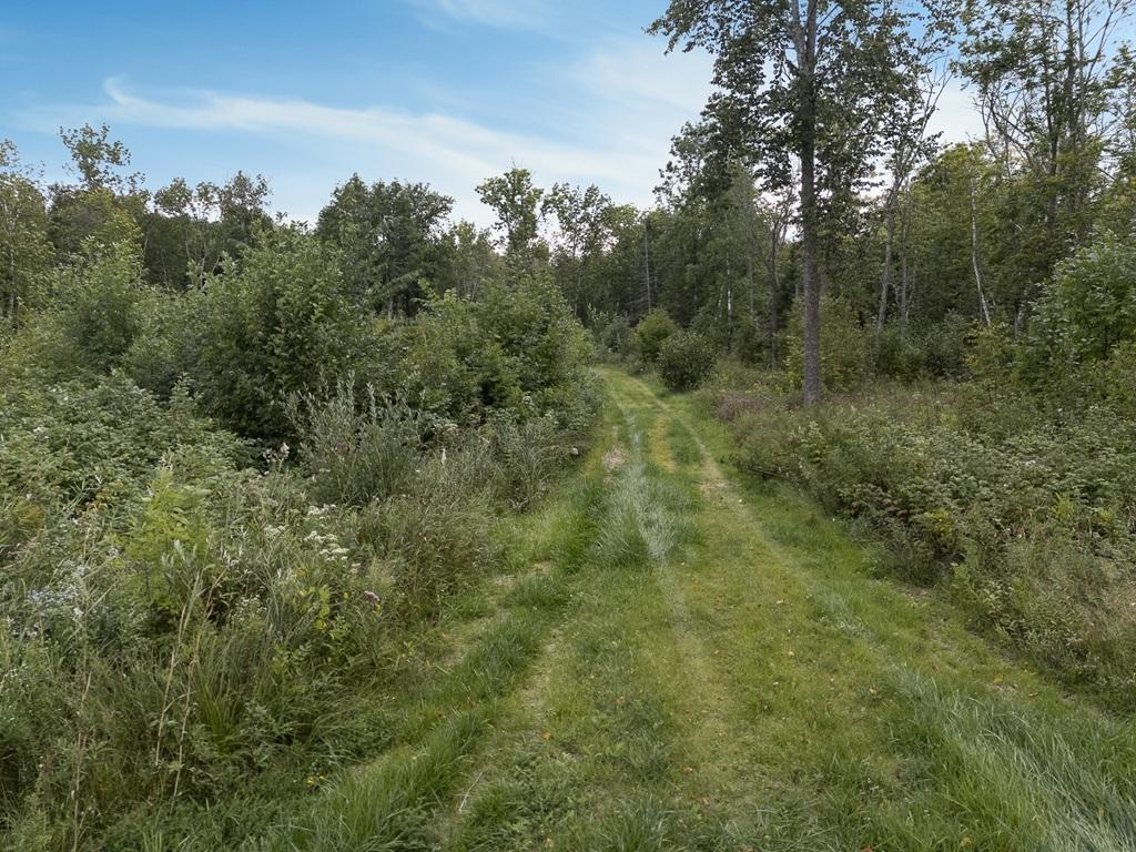 280 S Lake Lawrence Road NE, Outing MN 56662 - Photo 9 of 46