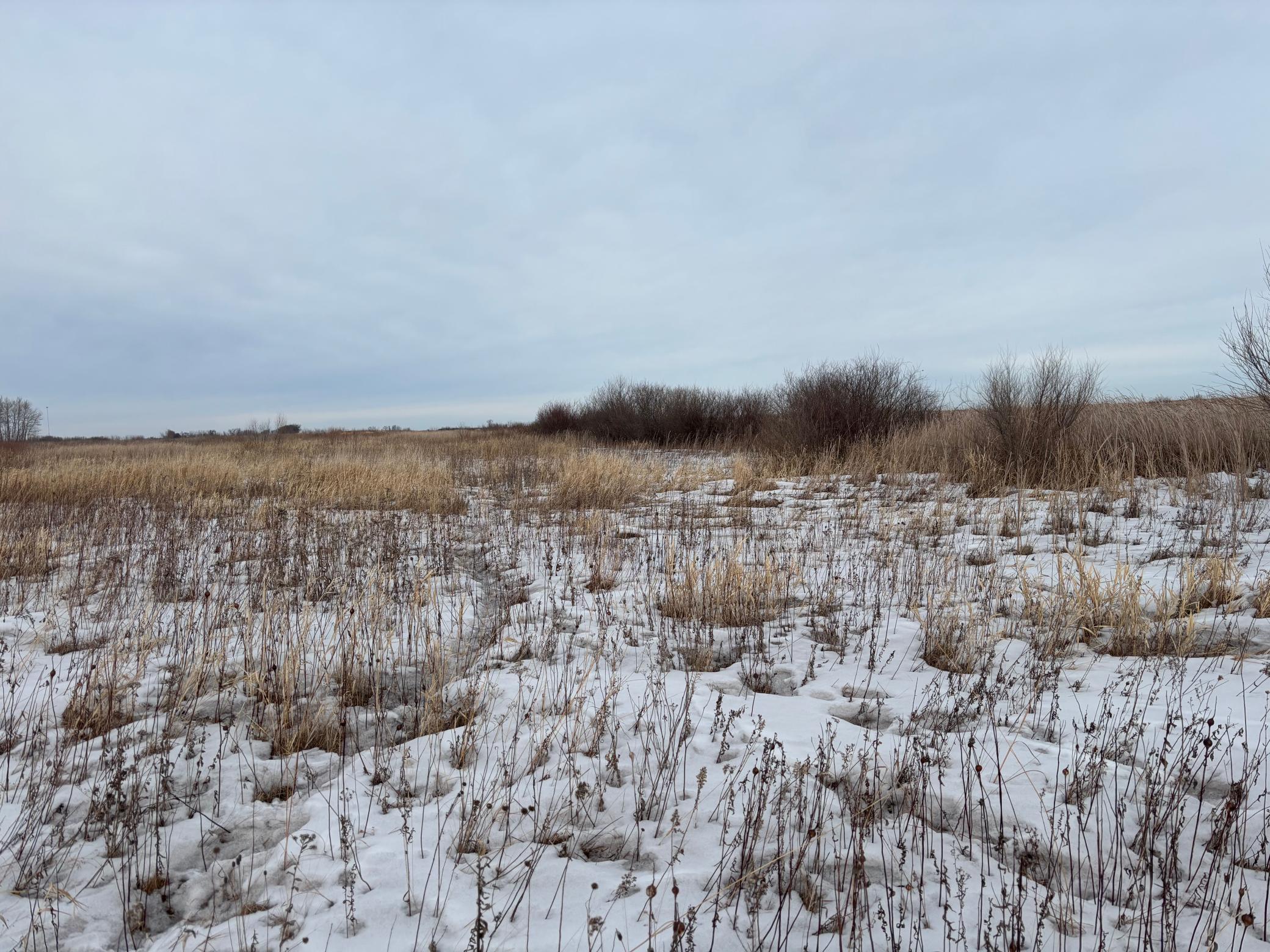 land for sale at TBD Hwy 59 in Mahnomen, MN (photo 11 of 13)