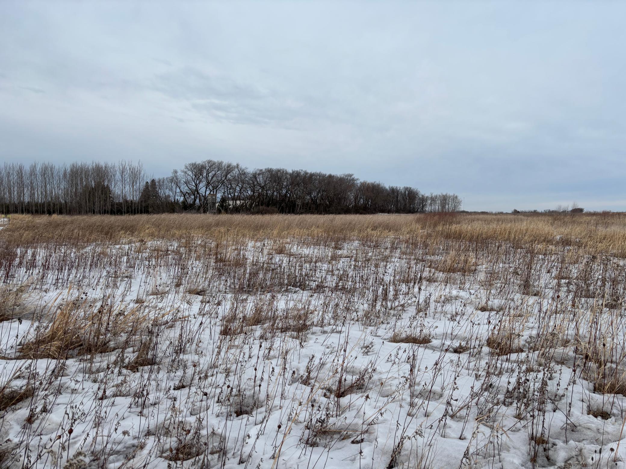 land for sale at TBD Hwy 59 in Mahnomen, MN (photo 12 of 13)