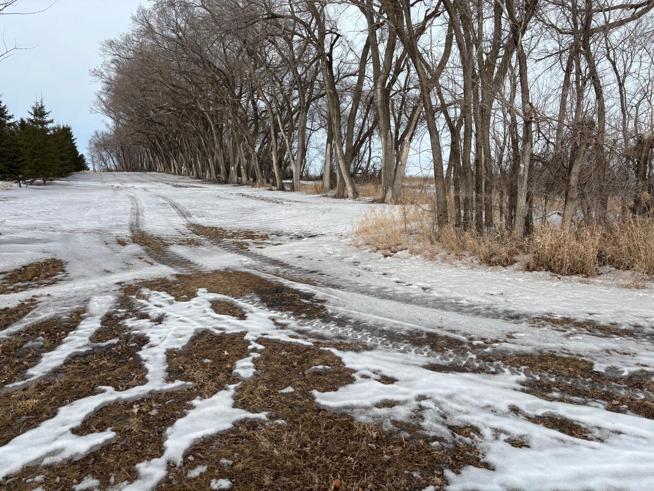 land for sale at TBD Hwy 59 in Mahnomen, MN (photo 3 of 13)