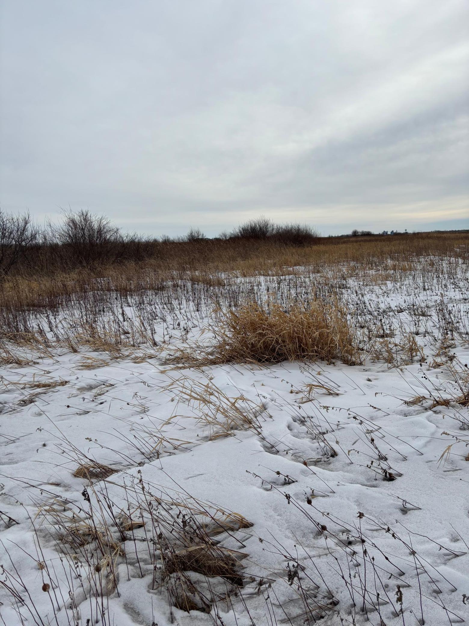 land for sale at TBD Hwy 59 in Mahnomen, MN (photo 4 of 13)