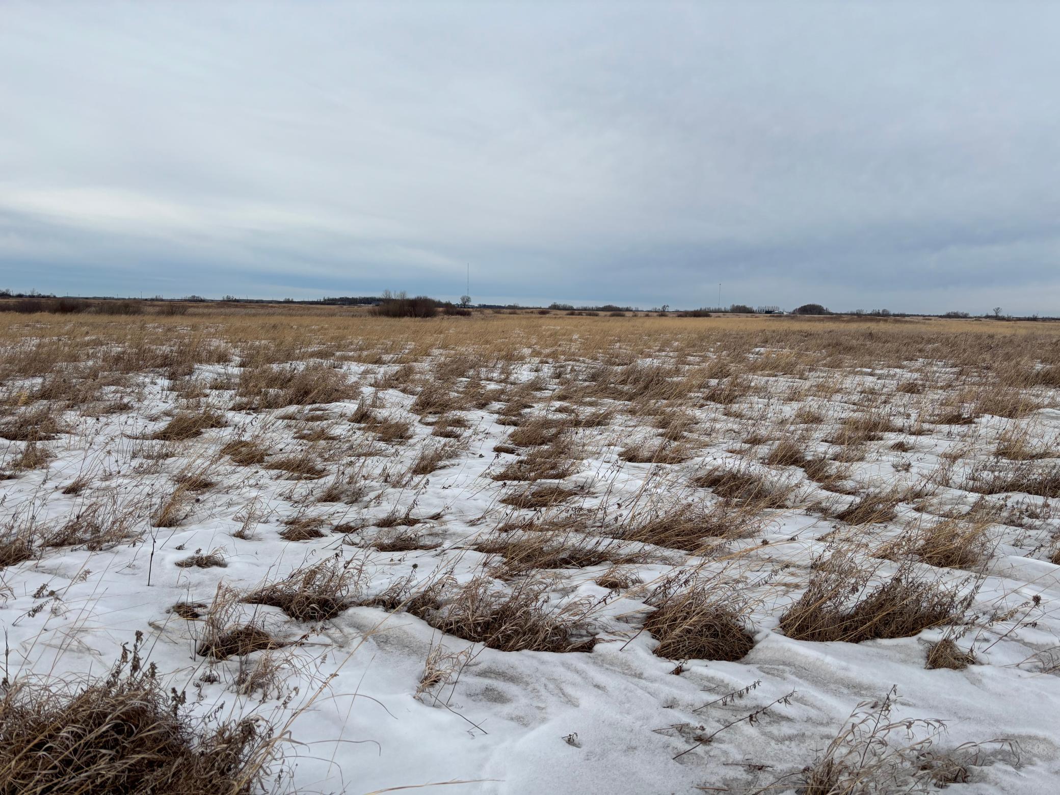land for sale at TBD Hwy 59 in Mahnomen, MN (photo 5 of 13)
