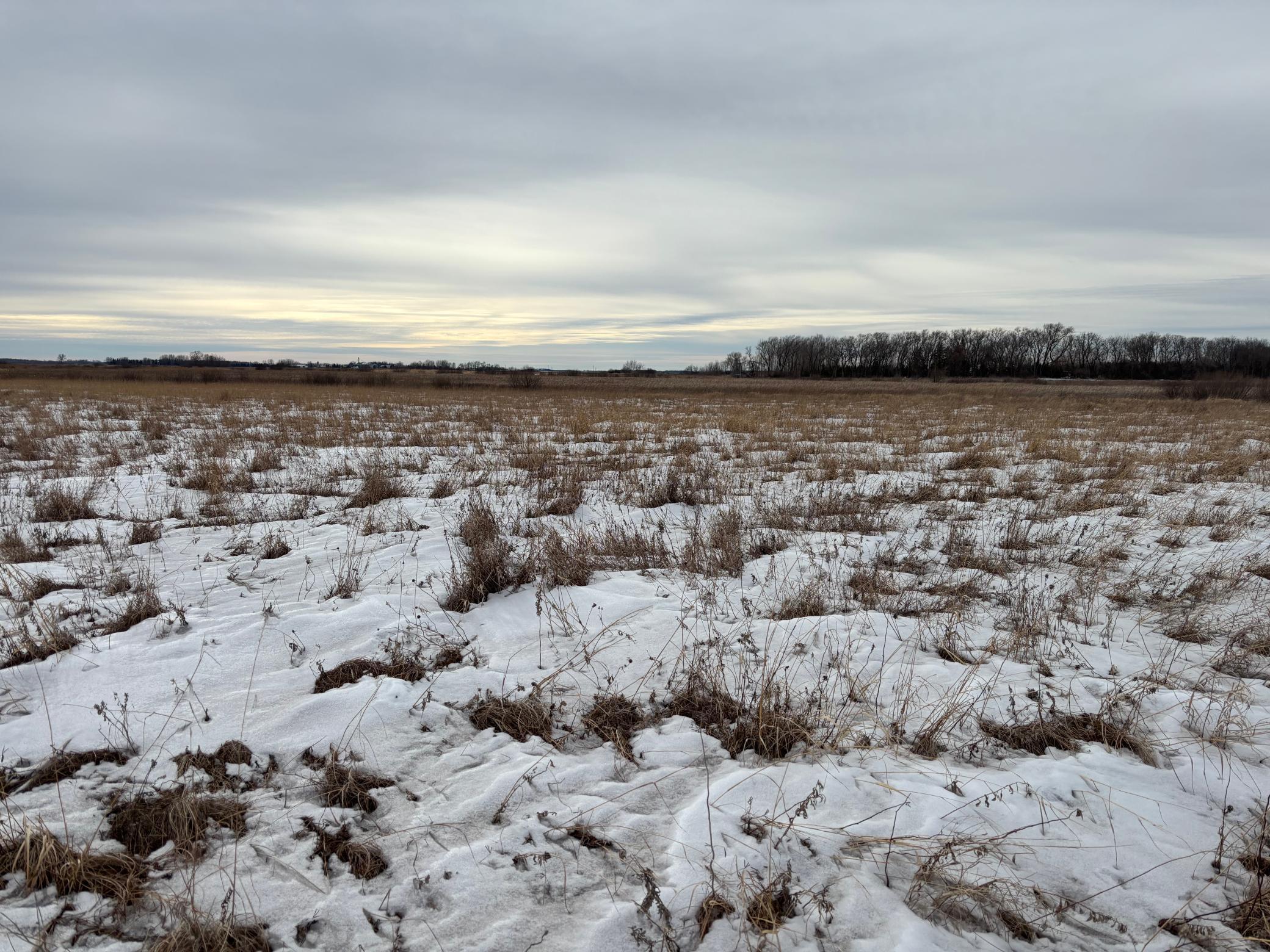 land for sale at TBD Hwy 59 in Mahnomen, MN (photo 6 of 13)