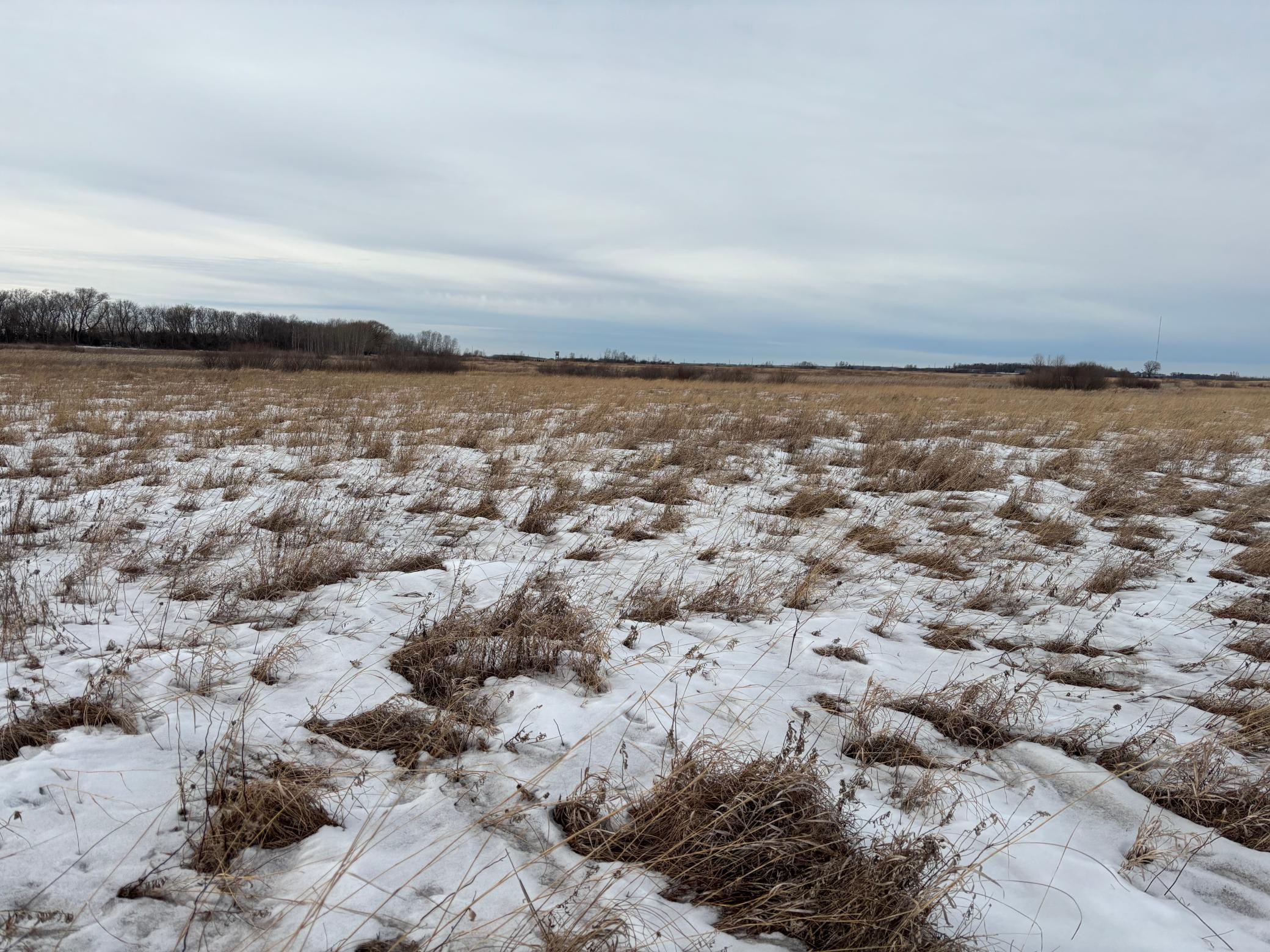 land for sale at TBD Hwy 59 in Mahnomen, MN (photo 7 of 13)
