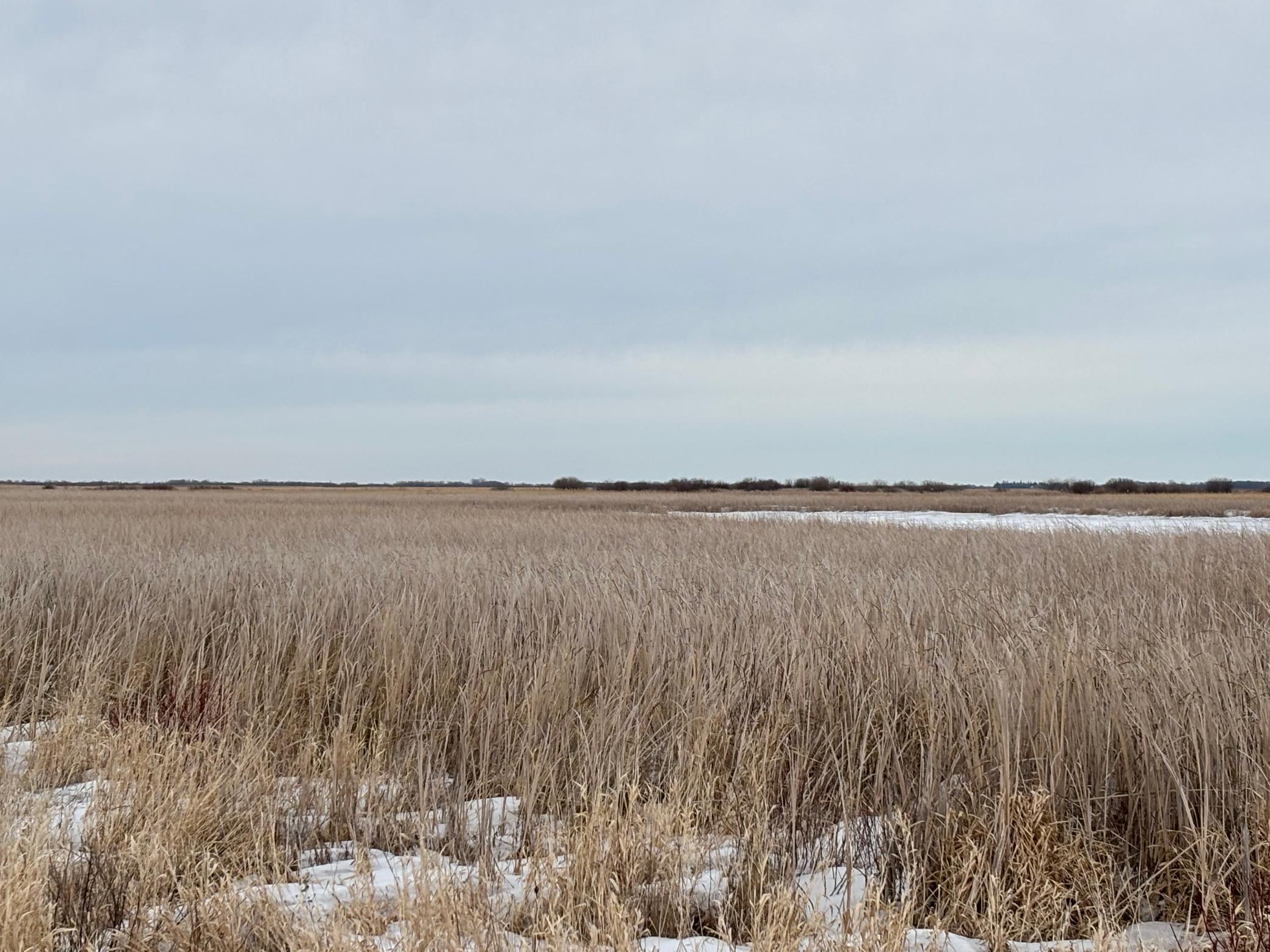 land for sale at TBD Hwy 59 in Mahnomen, MN (photo 9 of 13)