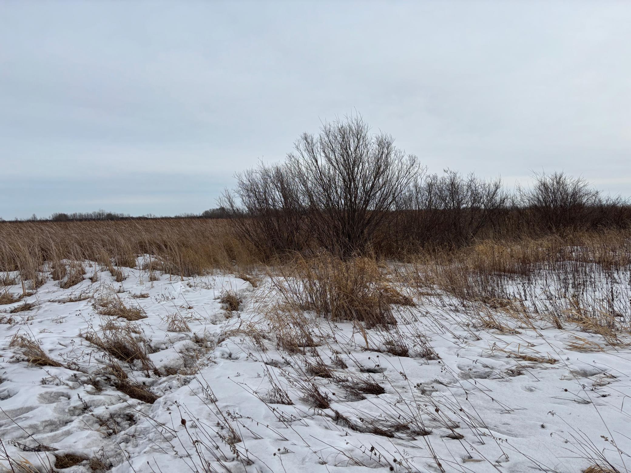 land for sale at TBD Hwy 59 in Mahnomen, MN (photo 10 of 13)