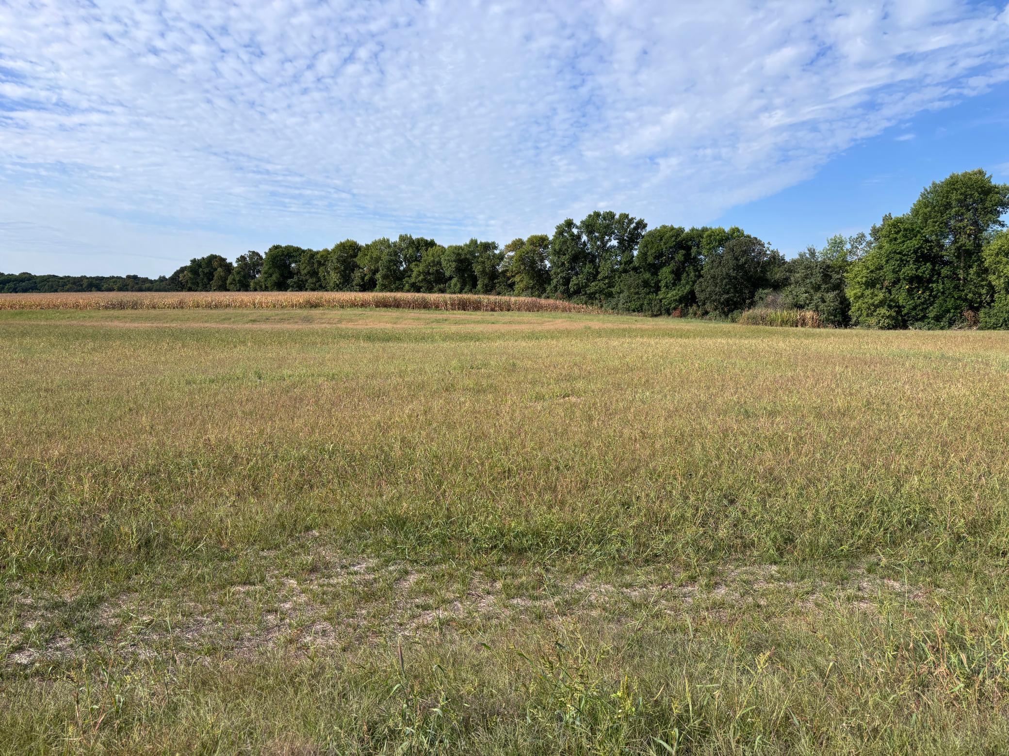 land for sale at TBD Lot 7 BLK 3 Chainview Court NW in Alexandria, MN