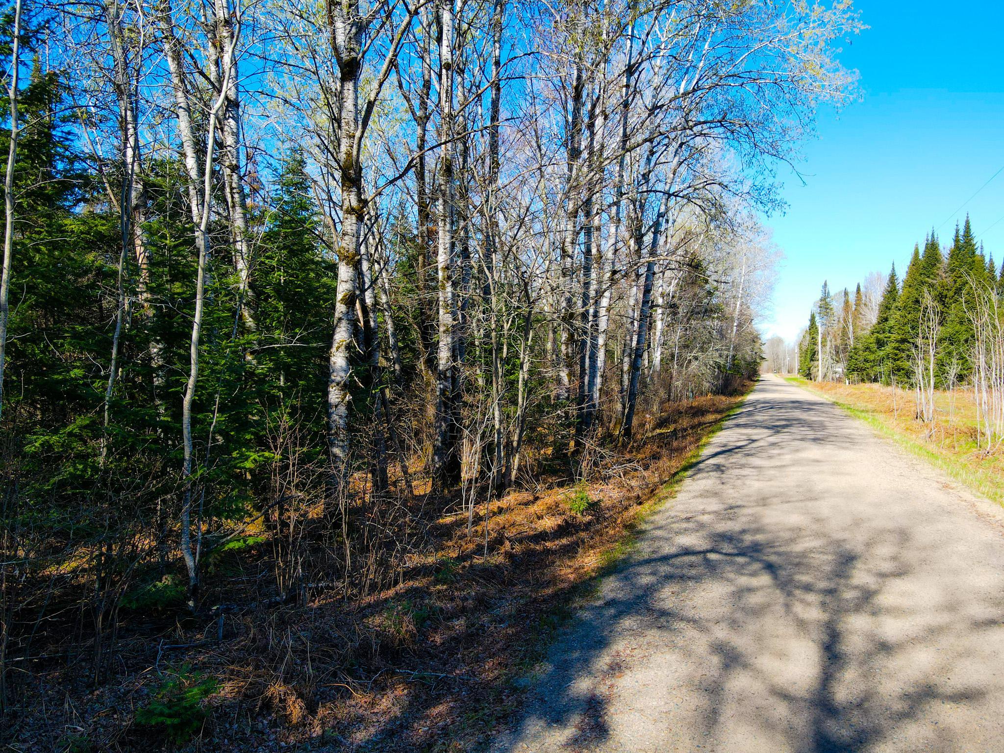land for sale at Parcel B Township Road D in Wawina, MN (photo 2 of 13)