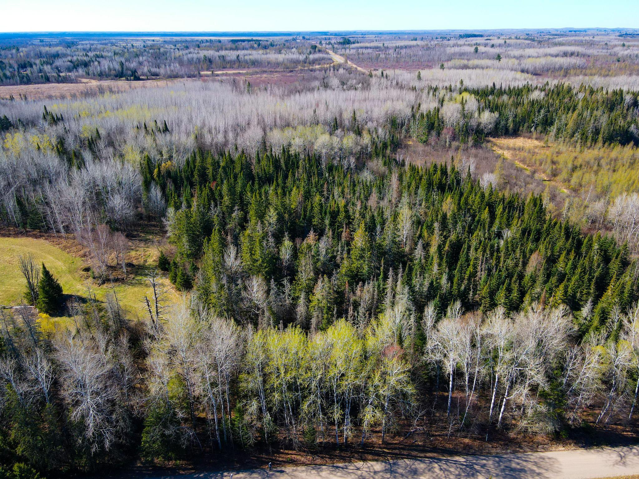 land for sale at Parcel B Township Road D in Wawina, MN (photo 12 of 13)