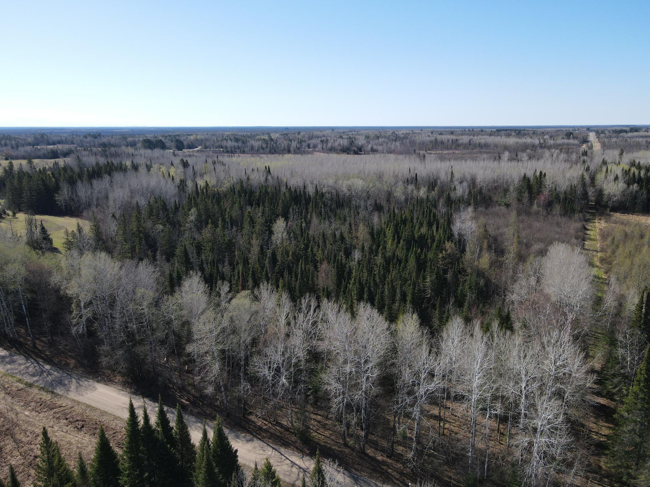 land for sale at Parcel B Township Road D in Wawina, MN (photo 13 of 13)