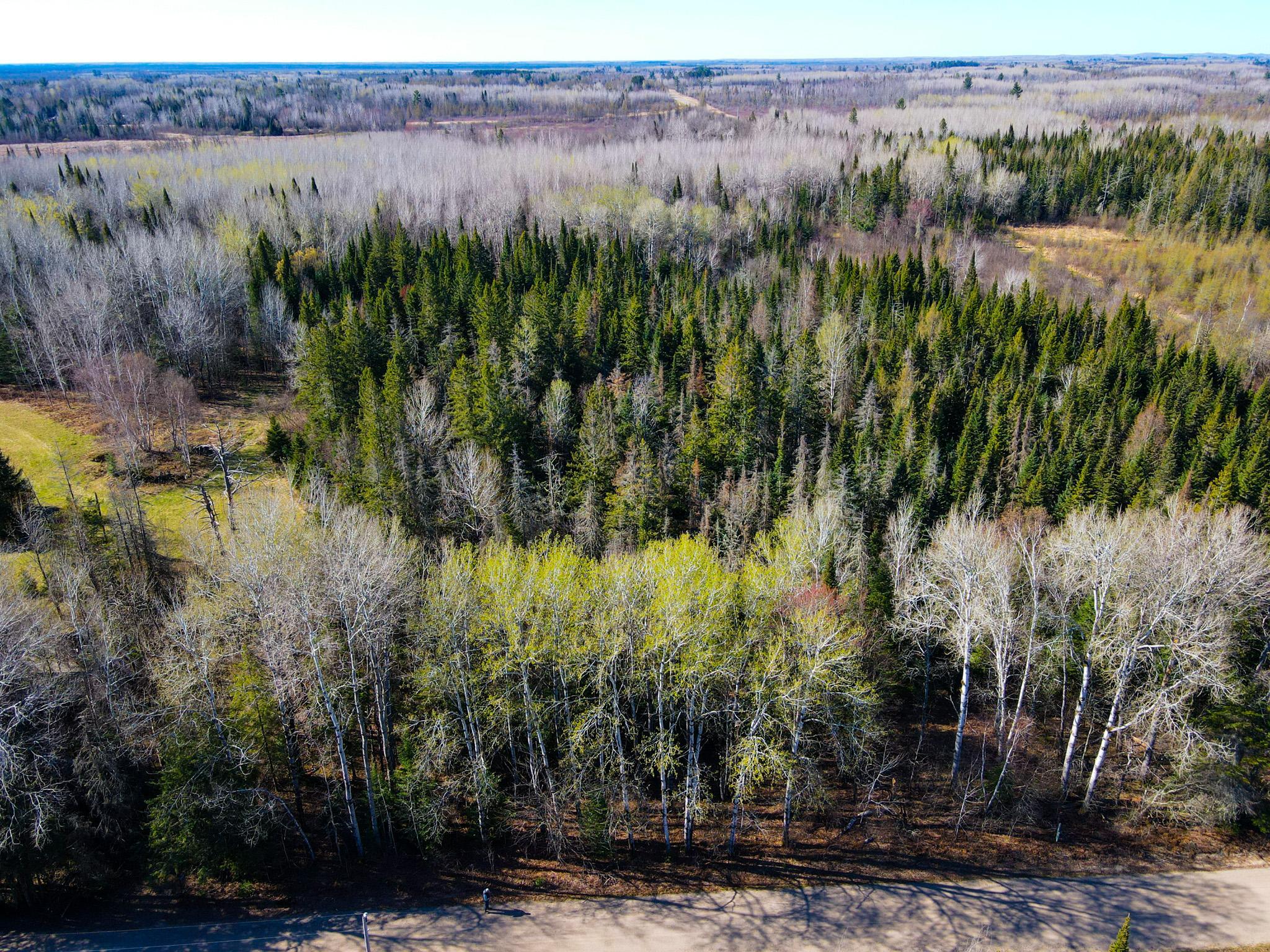 land for sale at Parcel B Township Road D in Wawina, MN (photo 3 of 13)
