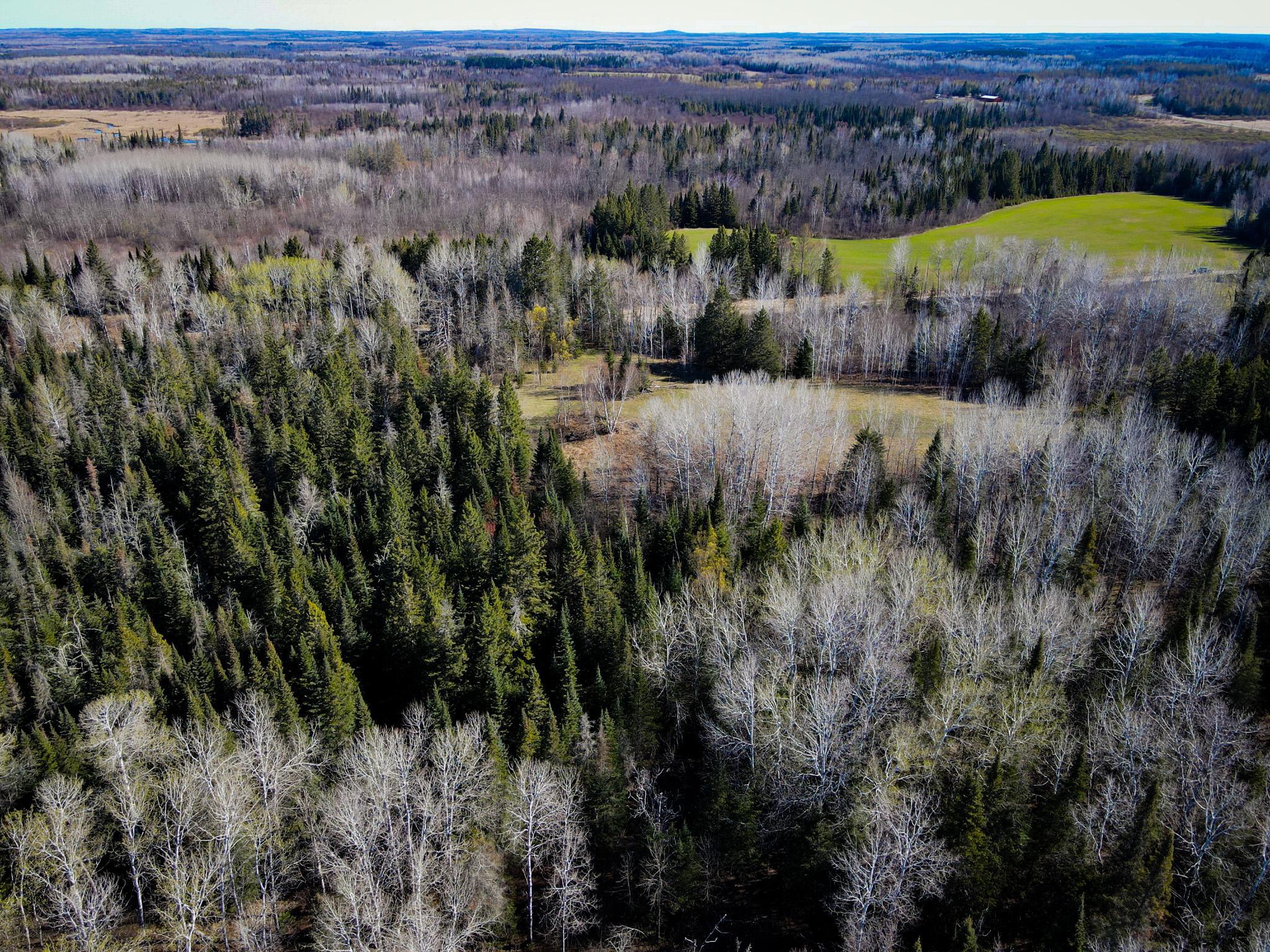 land for sale at 12905 Township Road D in Wawina, MN (photo 2 of 19)