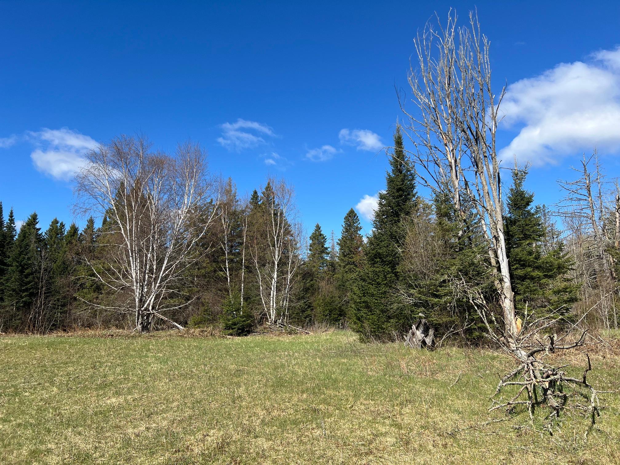 land for sale at 12905 Township Road D in Wawina, MN (photo 12 of 19)