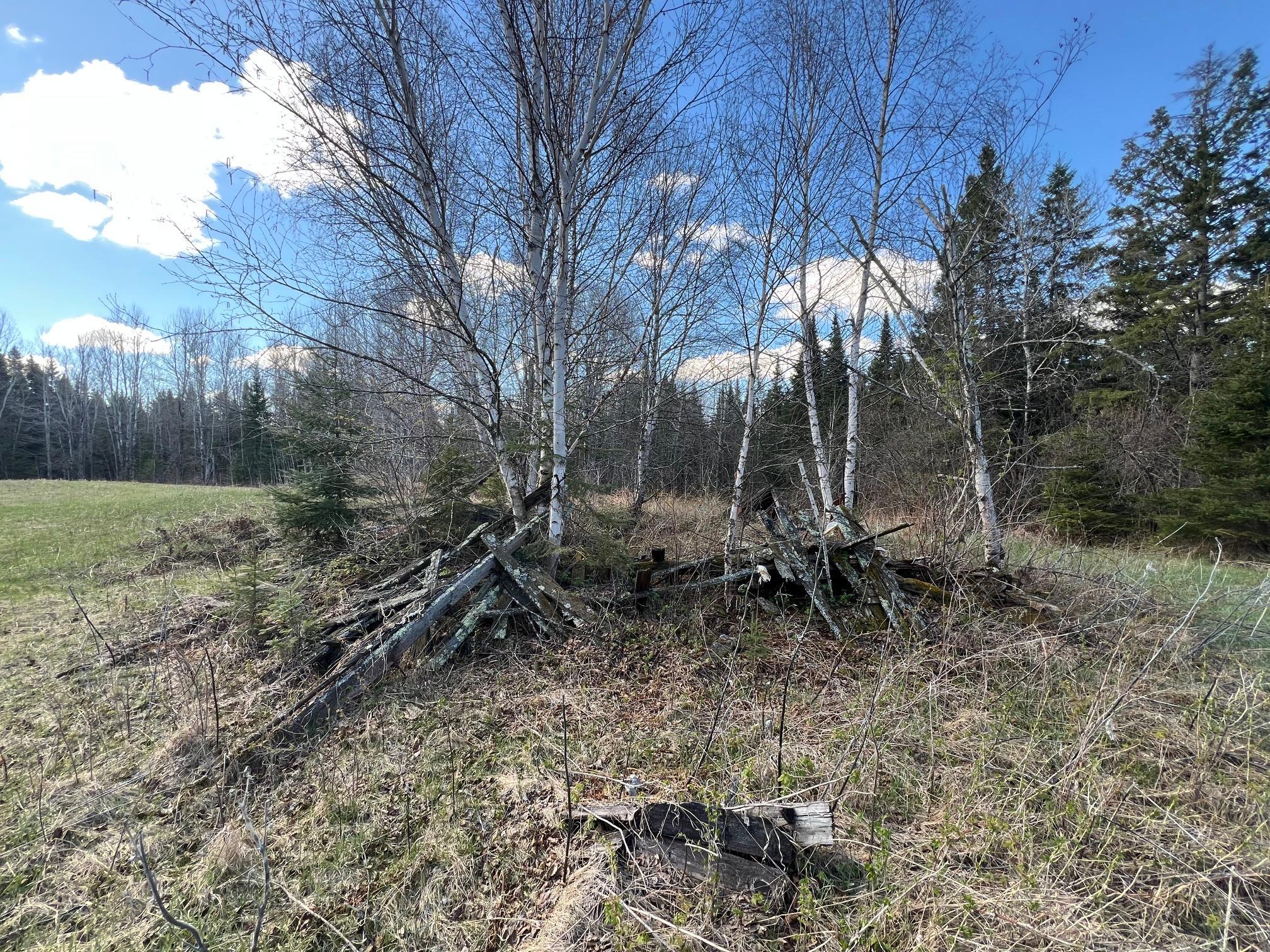 land for sale at 12905 Township Road D in Wawina, MN (photo 13 of 19)