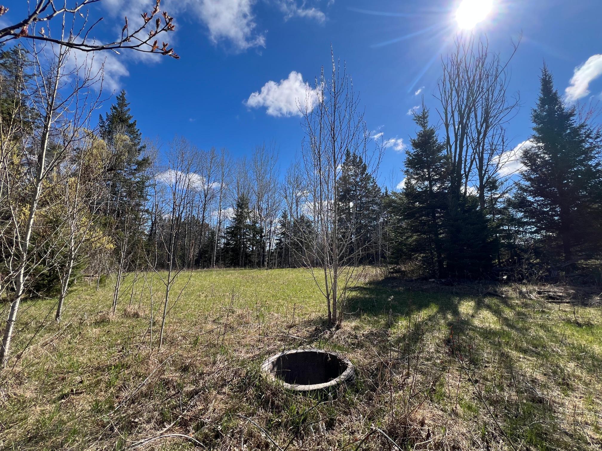 land for sale at 12905 Township Road D in Wawina, MN (photo 16 of 19)
