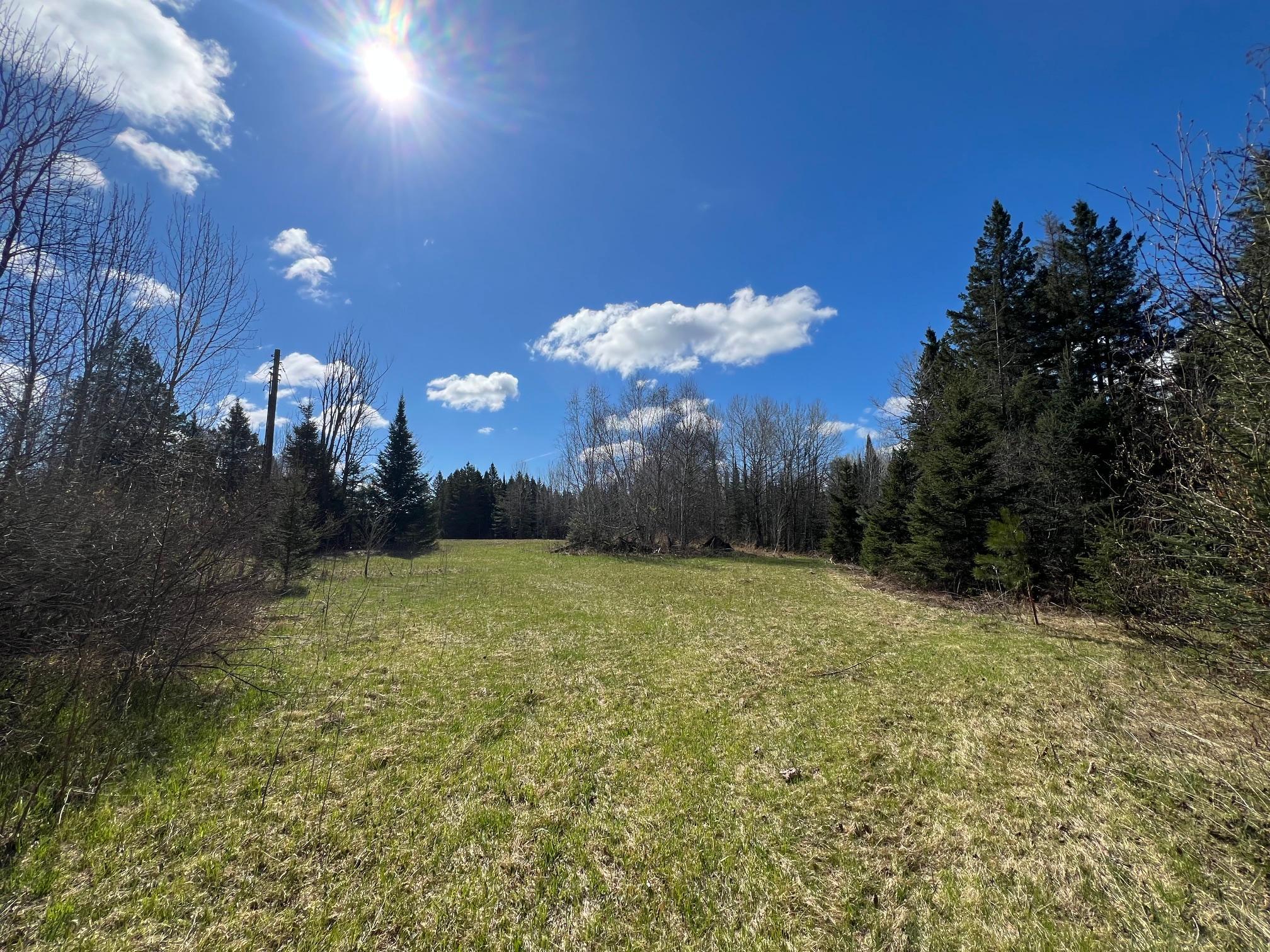 land for sale at 12905 Township Road D in Wawina, MN (photo 18 of 19)