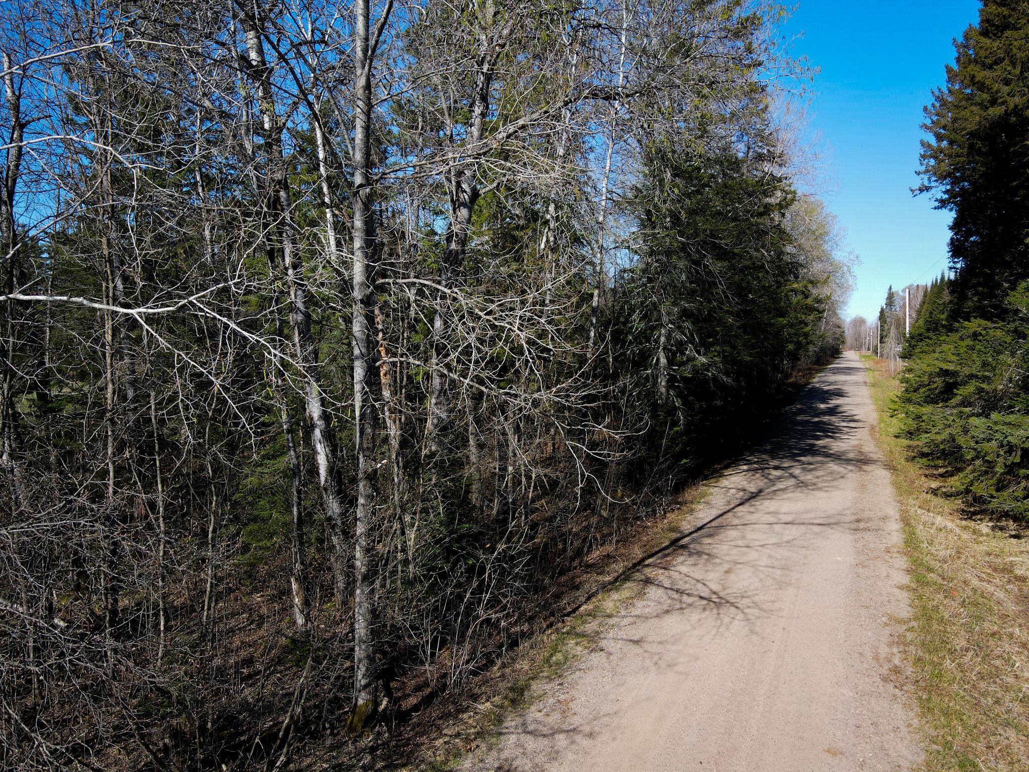 land for sale at 12905 Township Road D in Wawina, MN (photo 3 of 19)