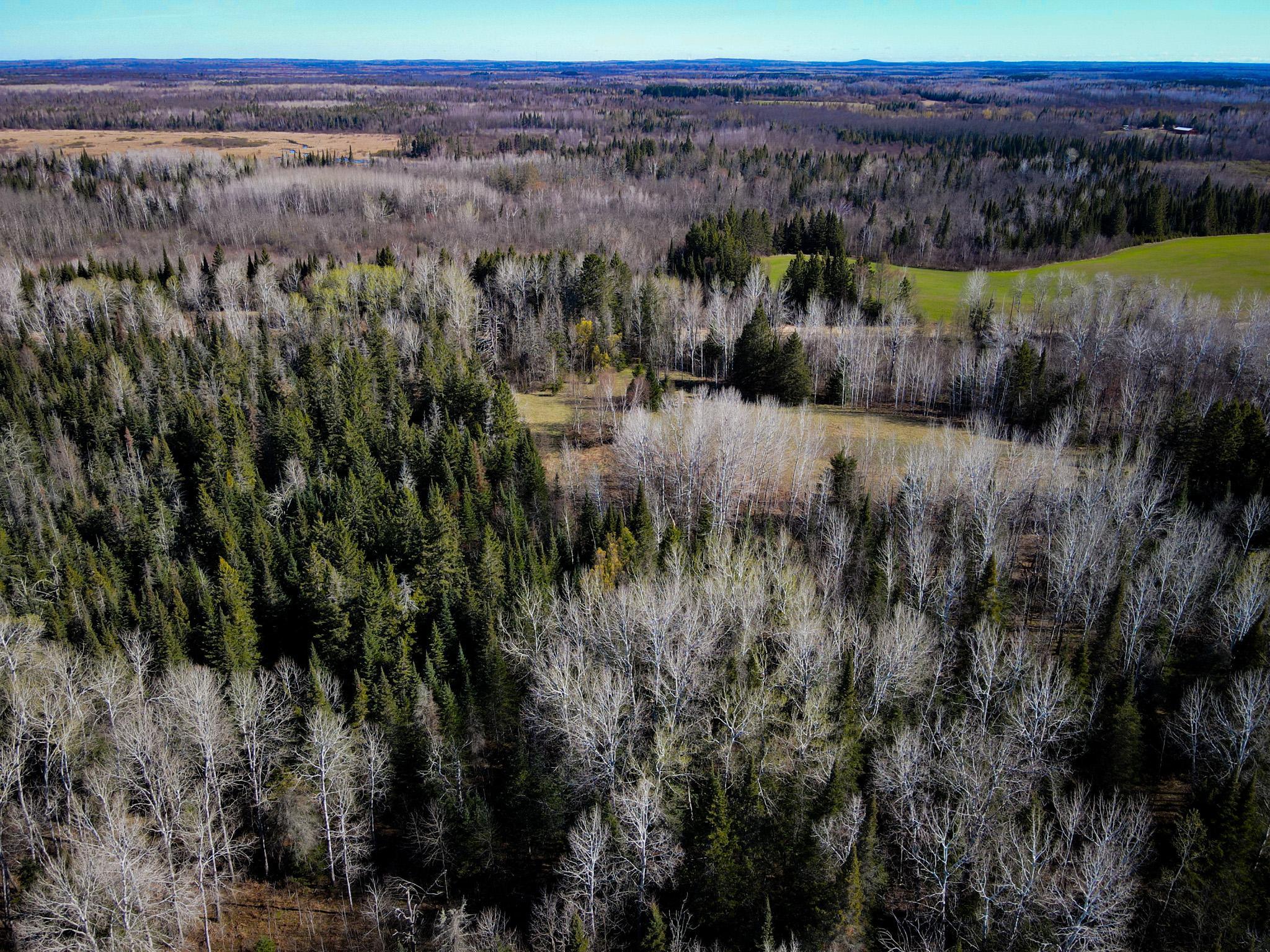 land for sale at 12905 Township Road D in Wawina, MN (photo 4 of 19)