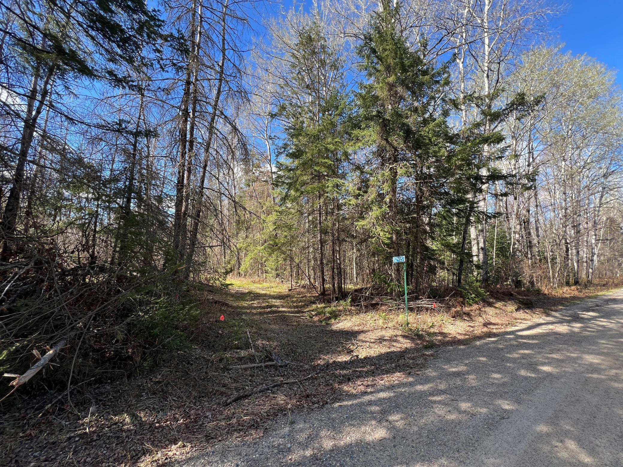 land for sale at 12905 Township Road D in Wawina, MN (photo 6 of 19)