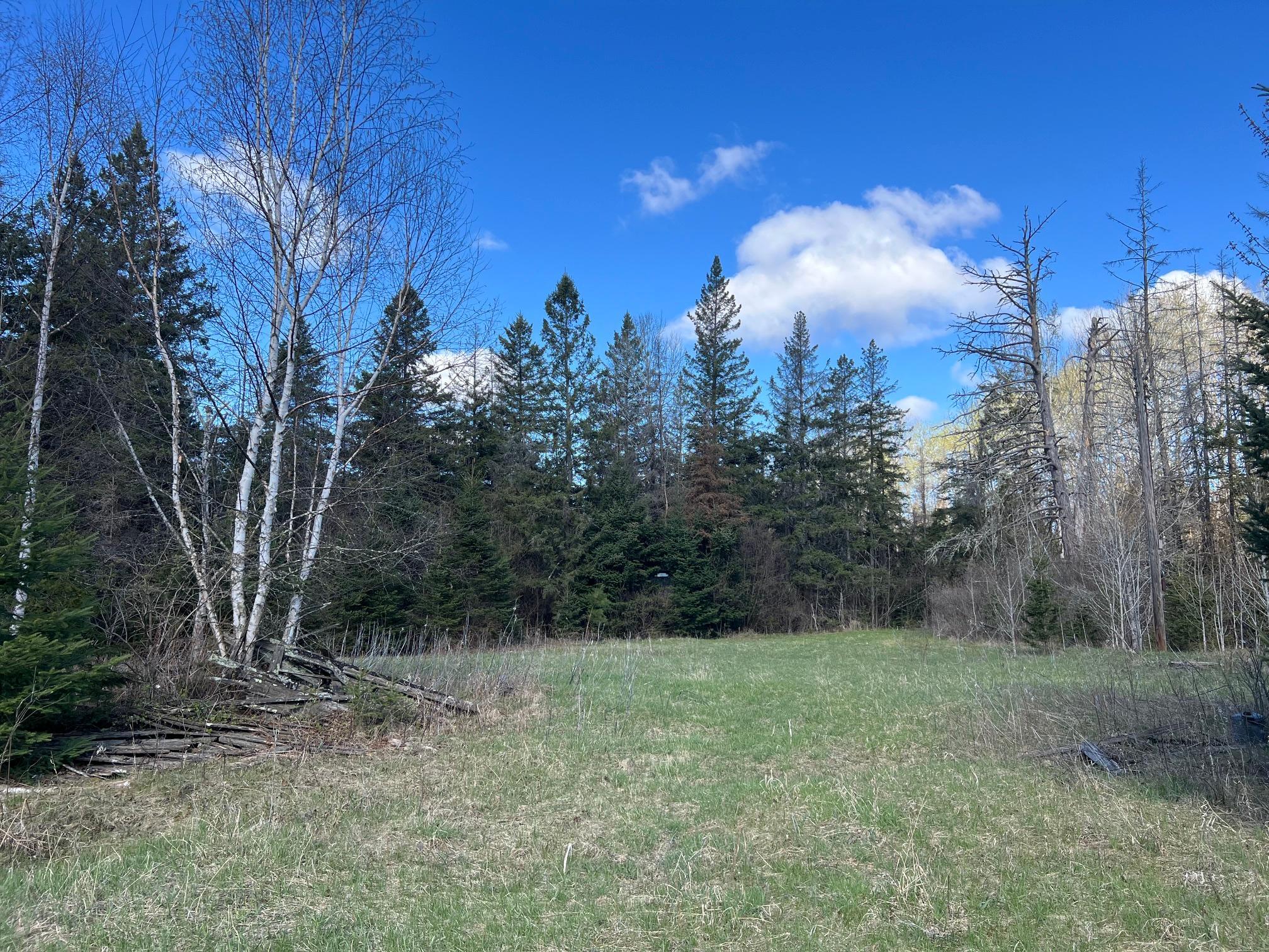 land for sale at 12905 Township Road D in Wawina, MN (photo 7 of 19)