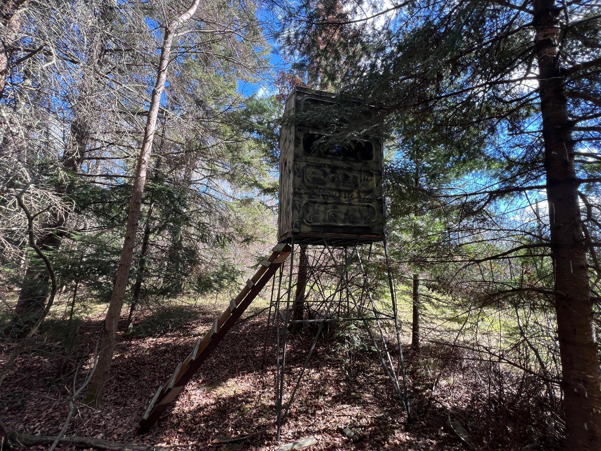 land for sale at 12905 Township Road D in Wawina, MN (photo 8 of 19)