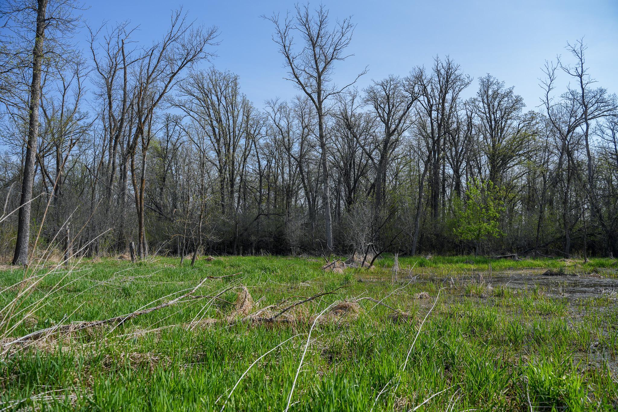 2024 single family home for sale at 18156 420th Street SE in Winger, MN — 4 bed, 2 bath (photo 48 of 71)