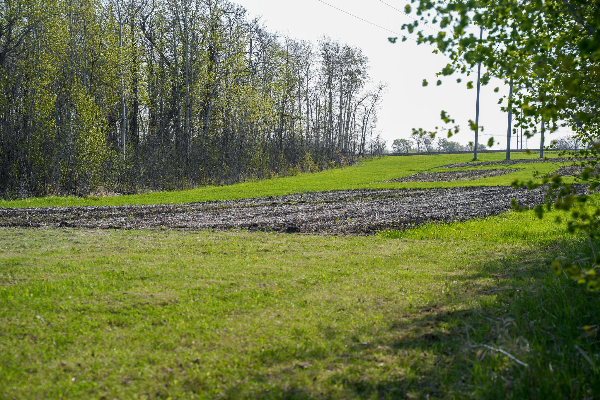 2024 single family home for sale at 18156 420th Street SE in Winger, MN — 4 bed, 2 bath (photo 51 of 71)