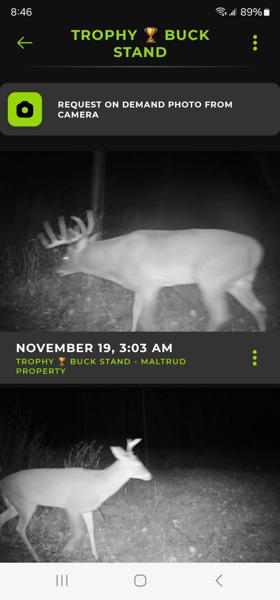2024 single family home for sale at 18156 420th Street SE in Winger, MN — 4 bed, 2 bath (photo 61 of 71)