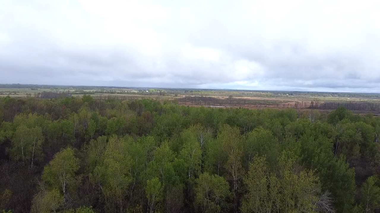 010071303 State Highway 210, Aitkin MN 56431 - Photo 2 of 4