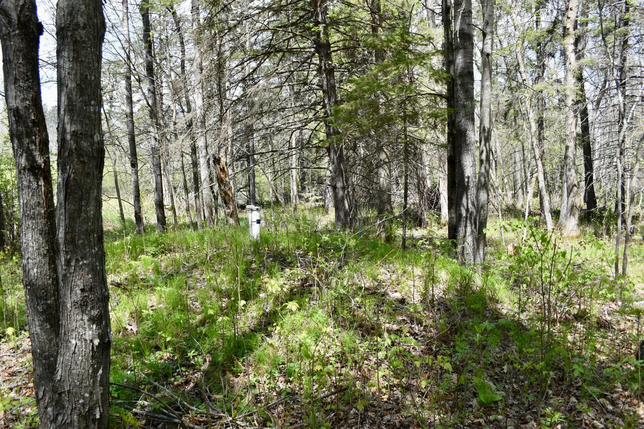 331 S Lake Lawrence Road NE, Outing MN 56662 - Photo 47 of 51