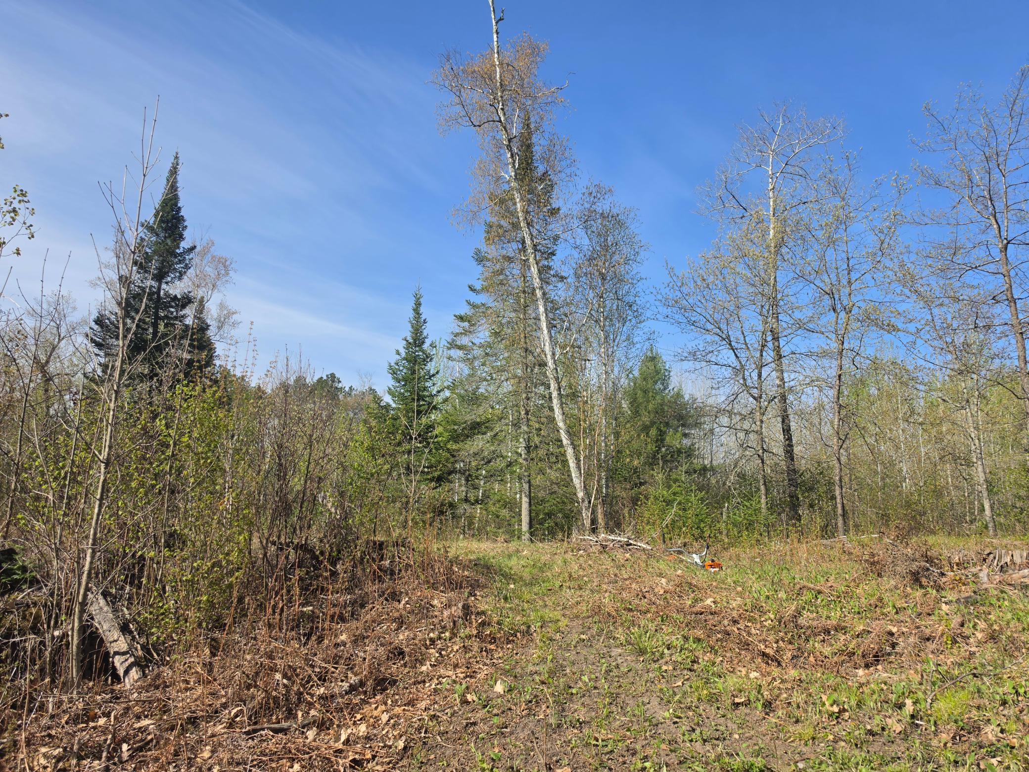 TBD S Thunder Lake Drive NE, Remer MN 56672 - Photo 3 of 11