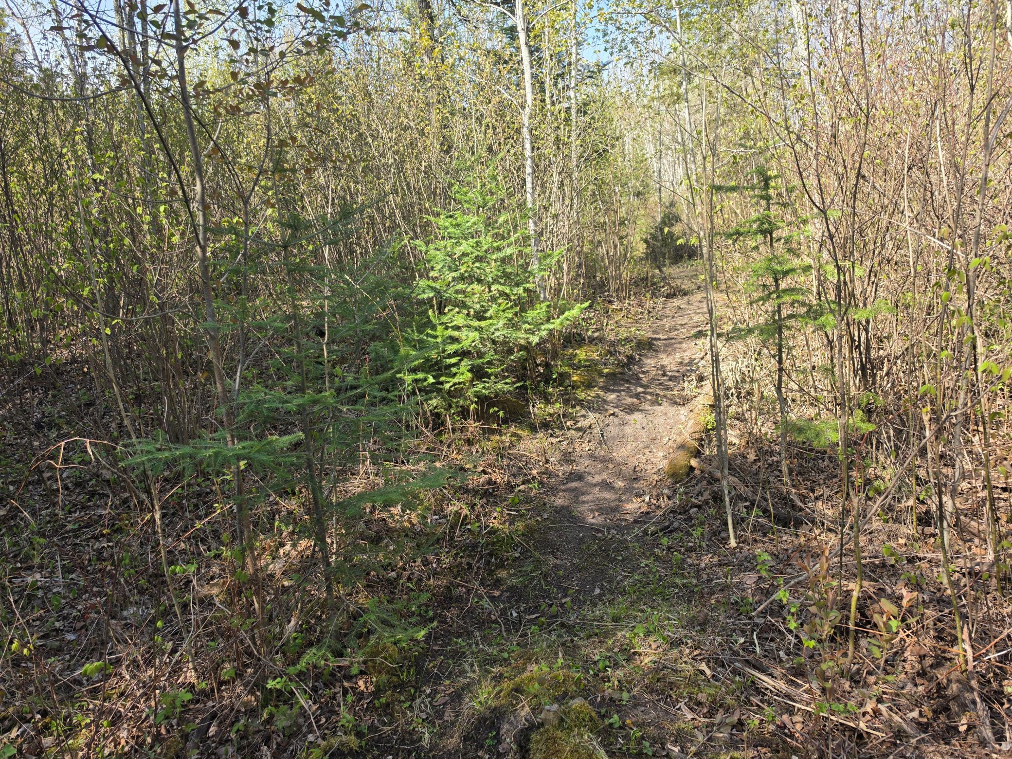 TBD S Thunder Lake Drive NE, Remer MN 56672 - Photo 5 of 11