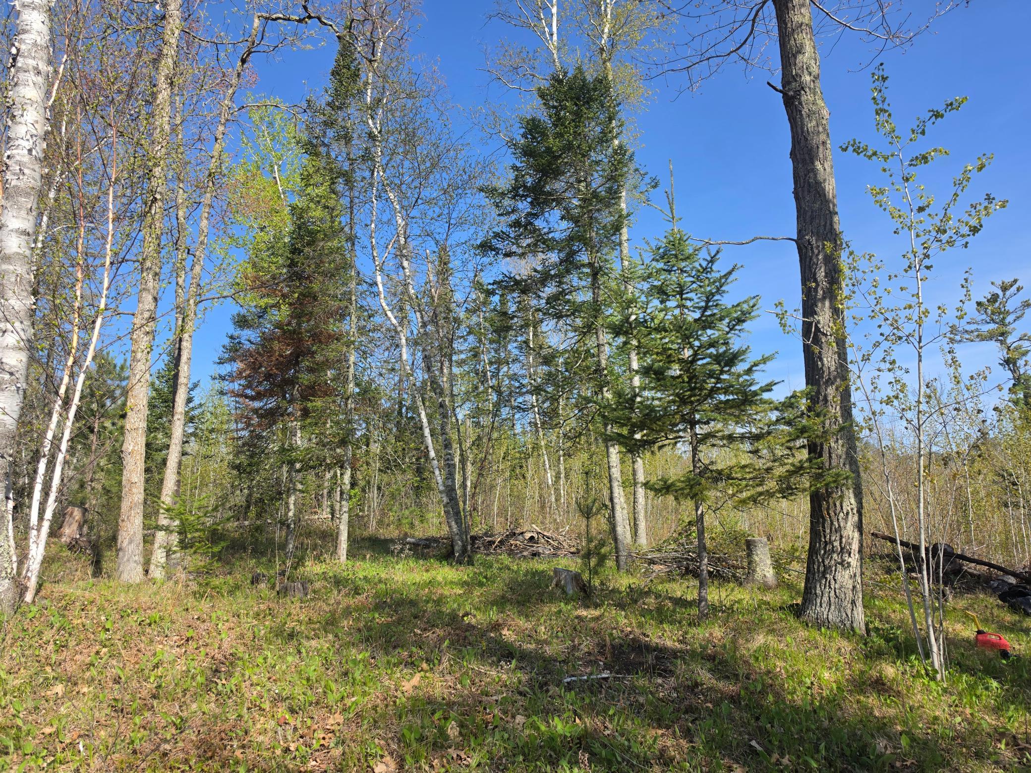 TBD S Thunder Lake Drive NE, Remer MN 56672 - Photo 8 of 11