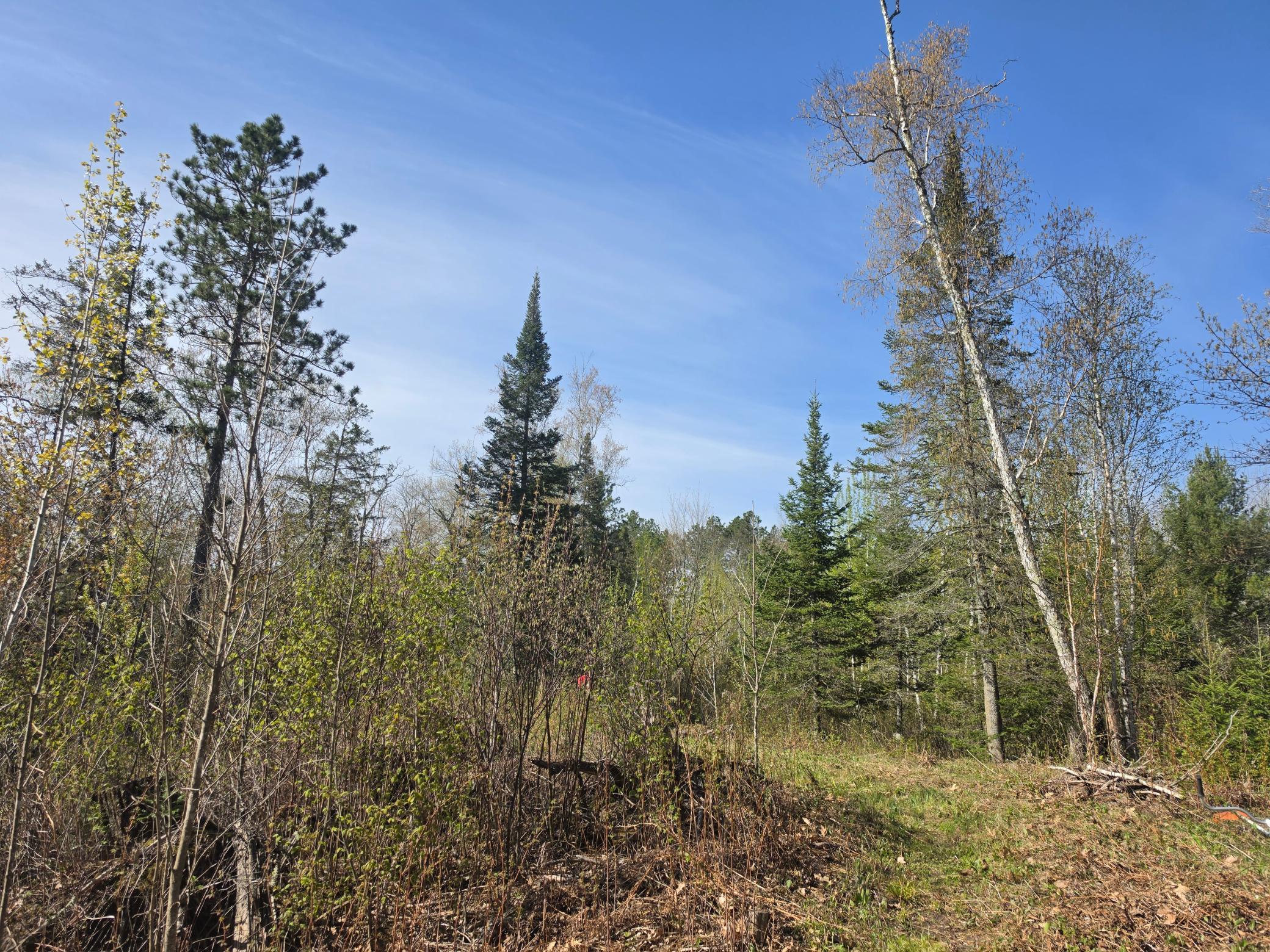 TBD S Thunder Lake Drive NE, Remer MN 56672 - Photo 9 of 11