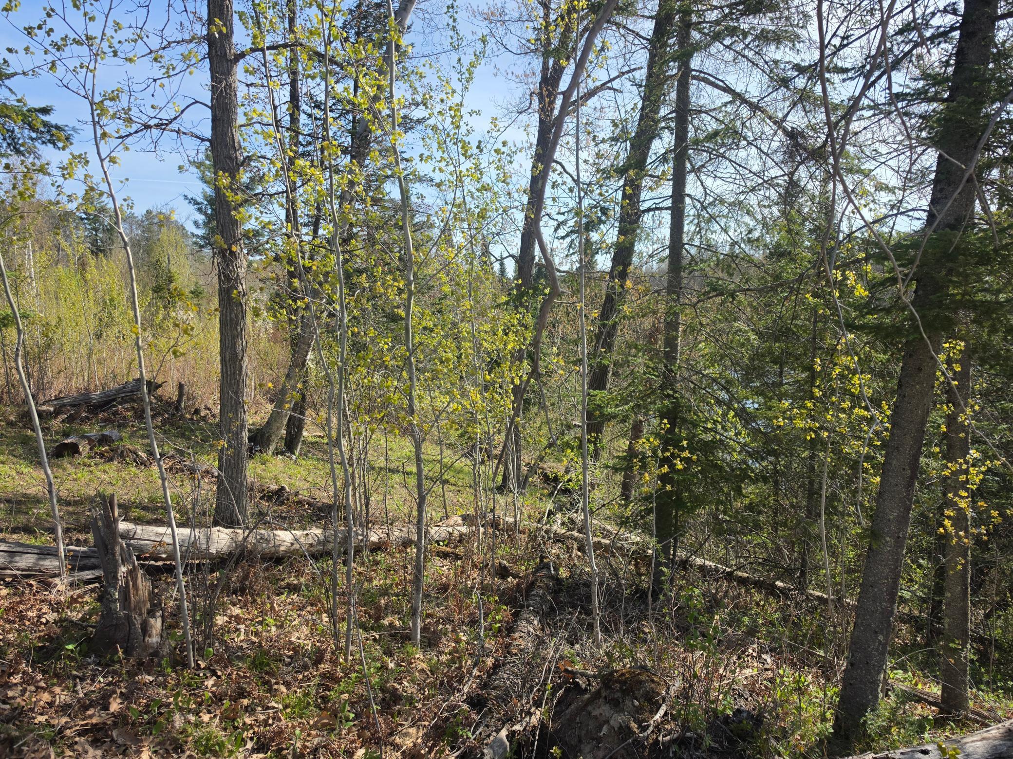 TBD S Thunder Lake Drive NE, Remer MN 56672 - Photo 10 of 11