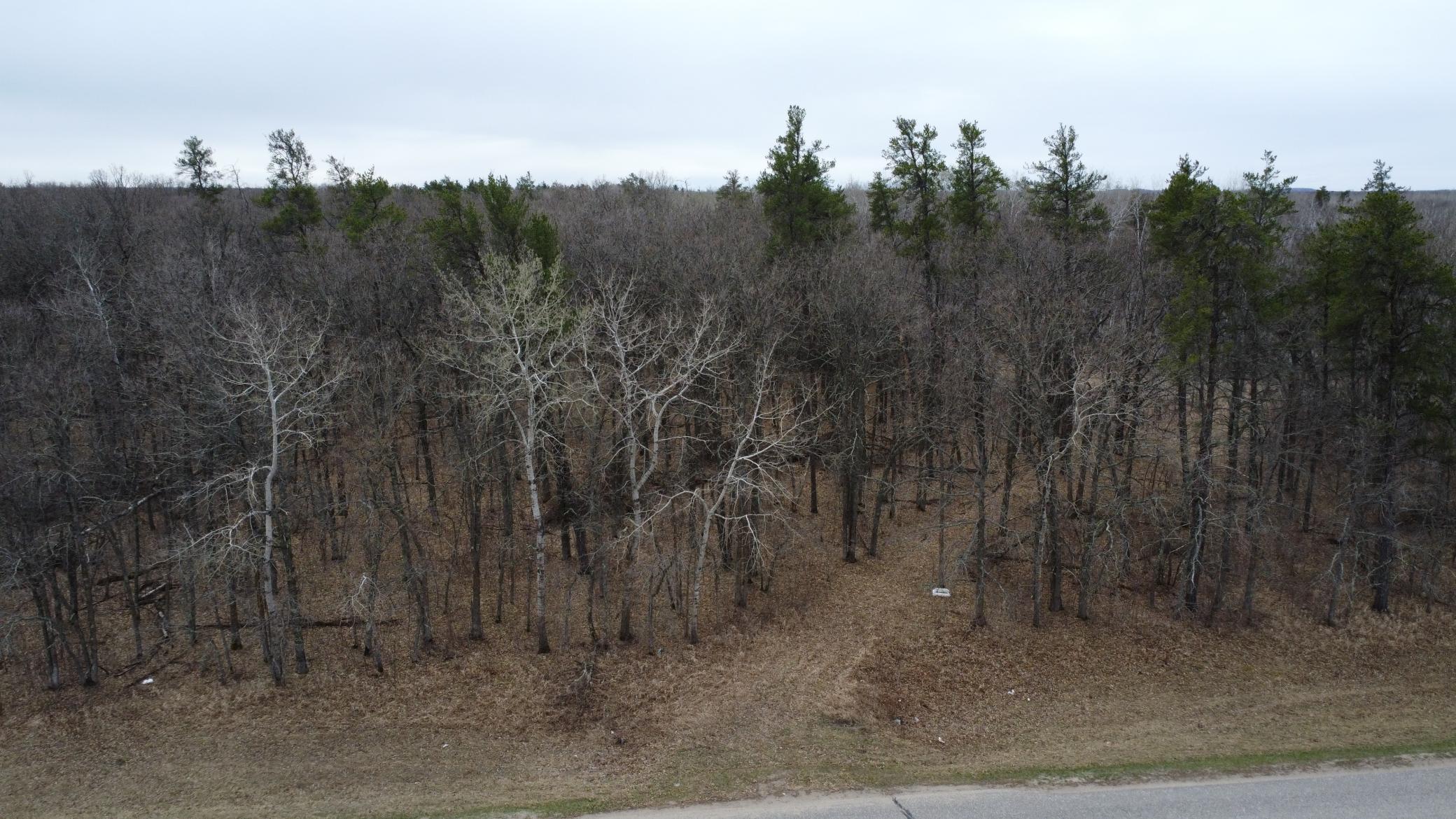 TBD Co Hwy 37, Ponsford MN 56575 - Photo 5 of 7