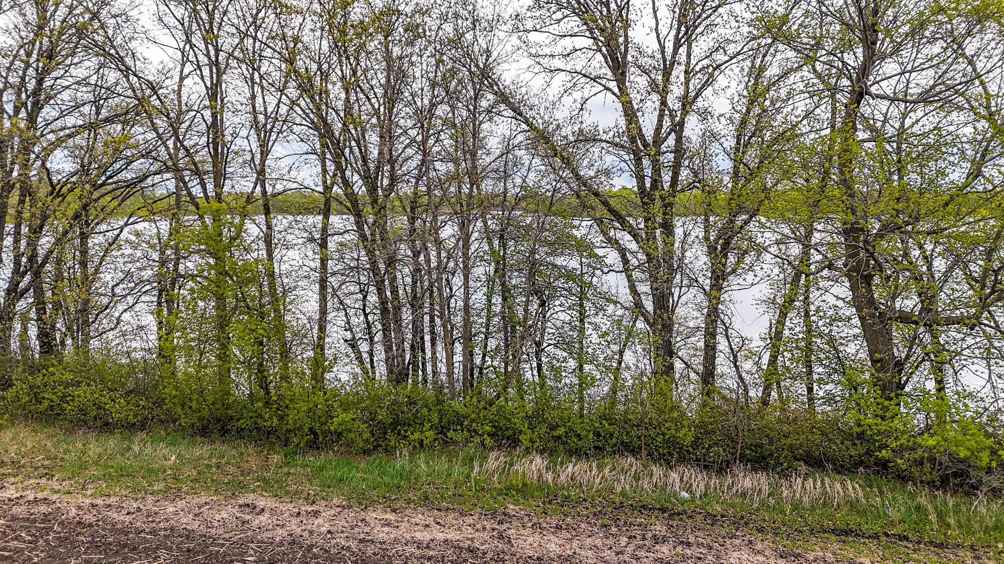 land for sale at tbd County Rd 4 in Vergas, MN (photo 11 of 11)
