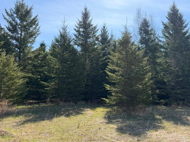 land for sale at TBD 66th Avenue NE in Remer, MN