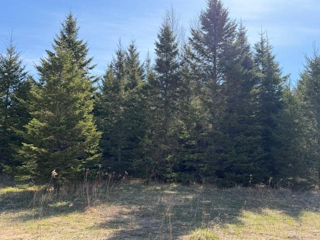 land for sale at TBD 66th Avenue NE in Remer, MN (photo 2 of 6)