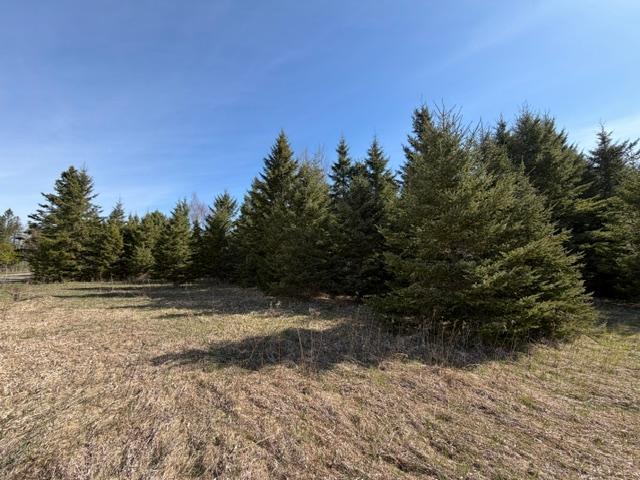 land for sale at TBD 66th Avenue NE in Remer, MN (photo 4 of 6)