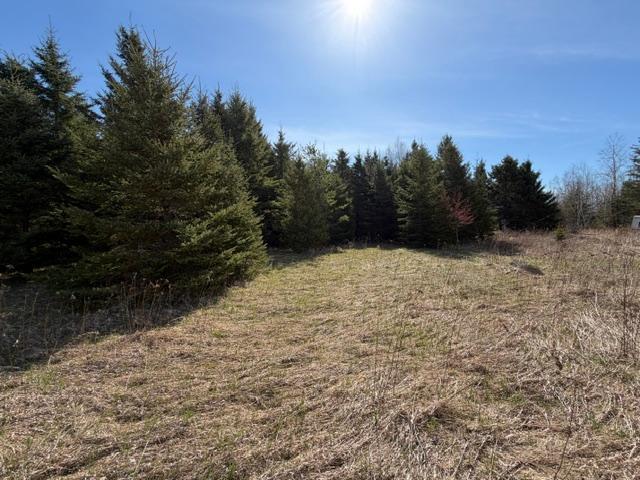 land for sale at TBD 66th Avenue NE in Remer, MN (photo 5 of 6)