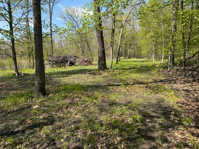 2009 single family home for sale at 48990 County Highway 17 in Vergas, MN — 4 bed, 3 bath (photo 20 of 36)