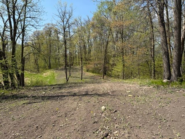 2009 single family home for sale at 48990 County Highway 17 in Vergas, MN — 4 bed, 3 bath (photo 23 of 36)