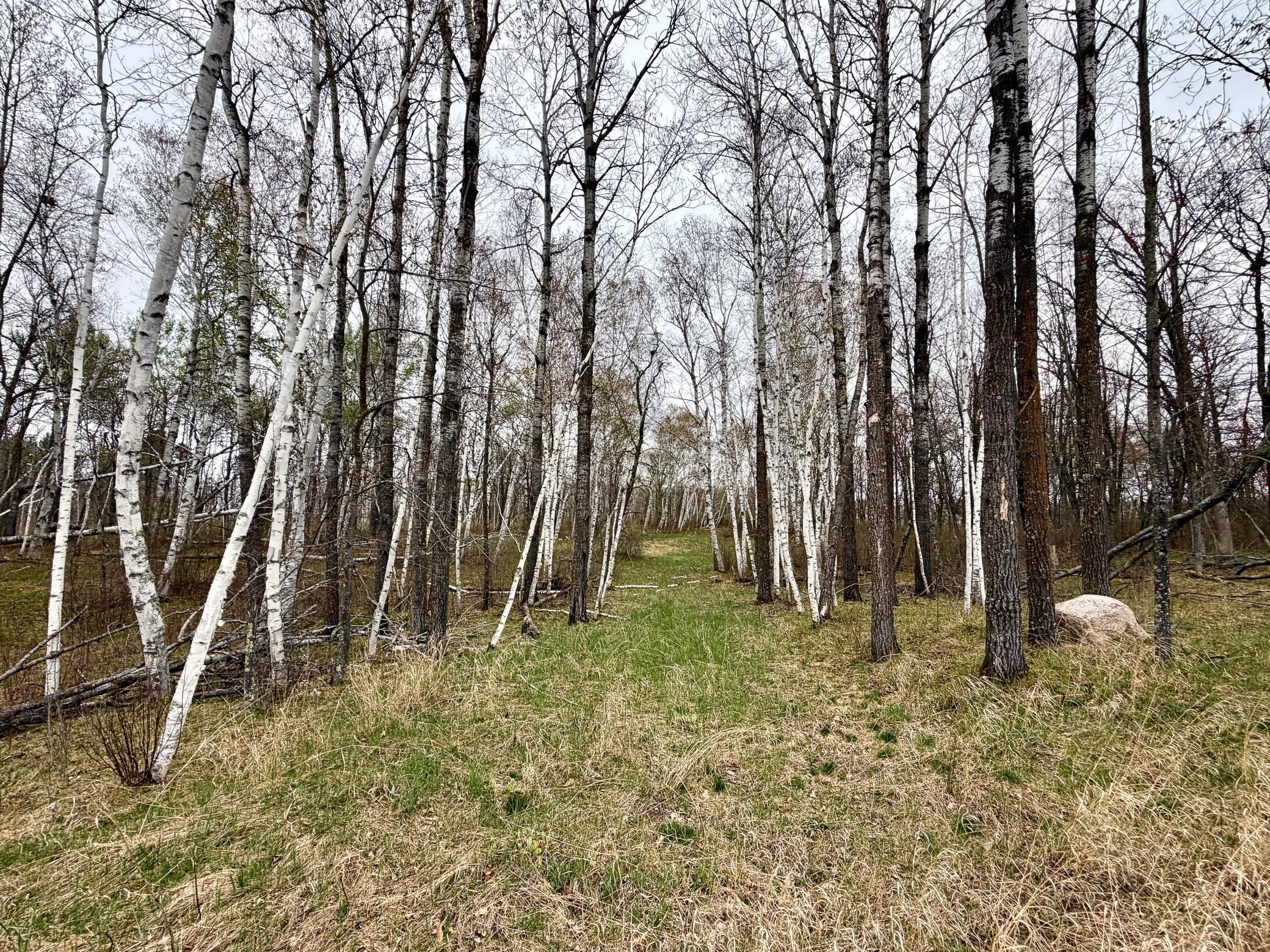 L17B1 Acorn Ridge Road NW, Bemidji MN 56601 - Photo 2 of 4
